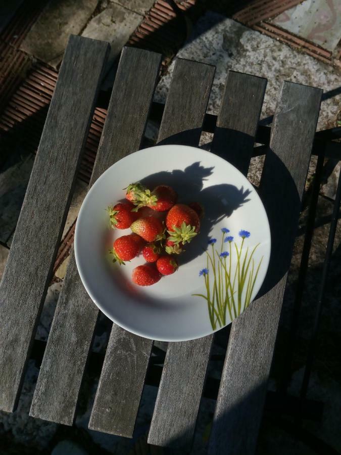 アルタムラ Giardino Della Moscatella Bed & Breakfast エクステリア 写真