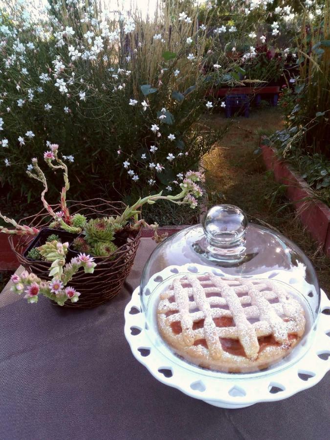アルタムラ Giardino Della Moscatella Bed & Breakfast エクステリア 写真