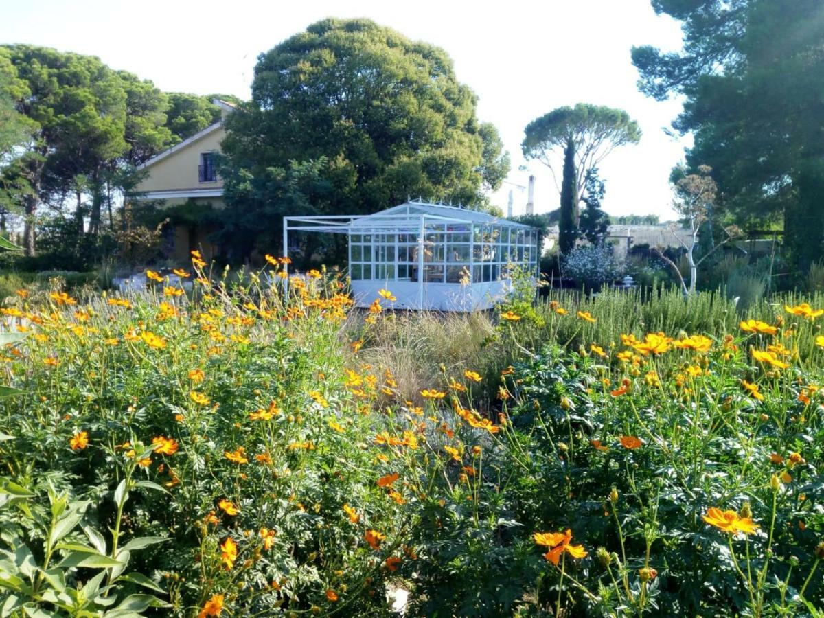 アルタムラ Giardino Della Moscatella Bed & Breakfast エクステリア 写真