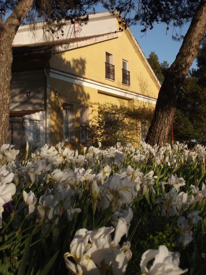 アルタムラ Giardino Della Moscatella Bed & Breakfast エクステリア 写真